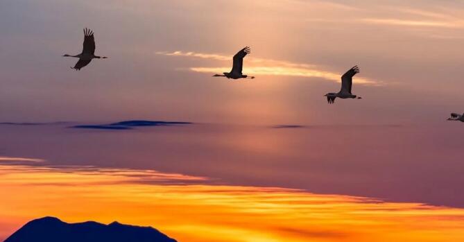 Kubernetes应用管理器OpenKruise