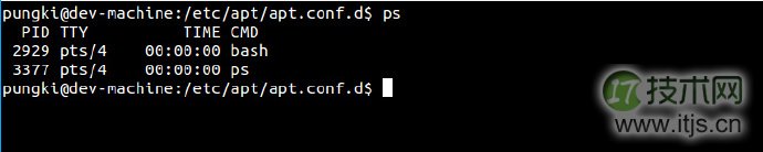 为什么说域名是网站建设的重要部分？域名作用这么大吗？