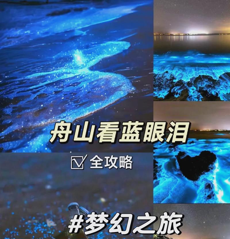 F5负载均衡之基础安装篇